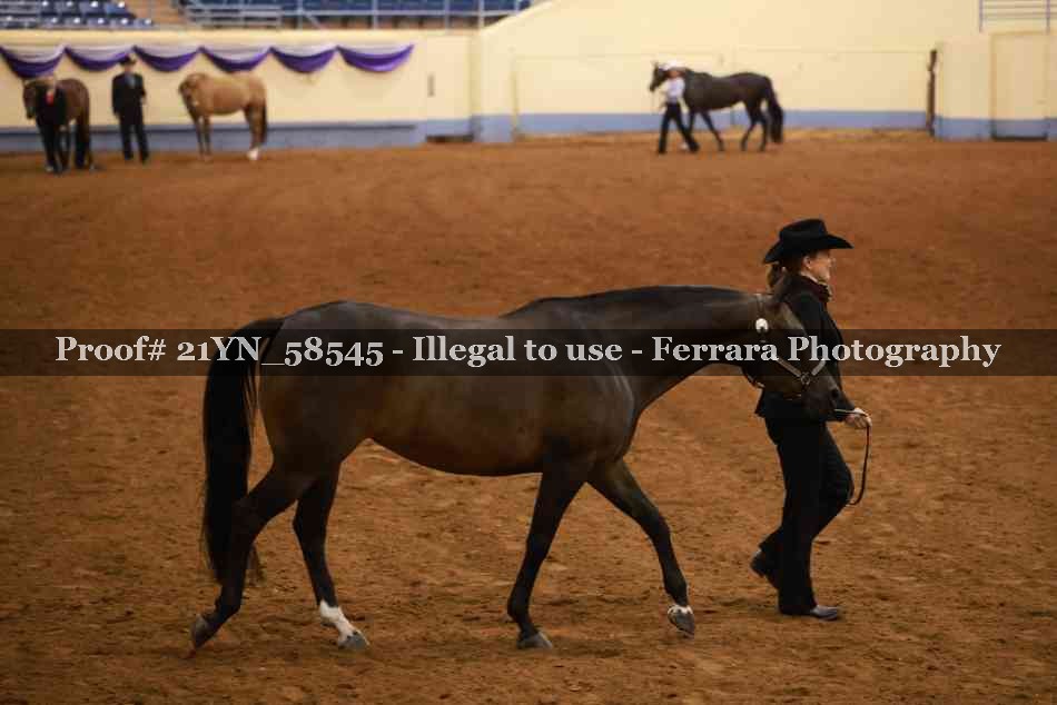 Proof 21YN_58545