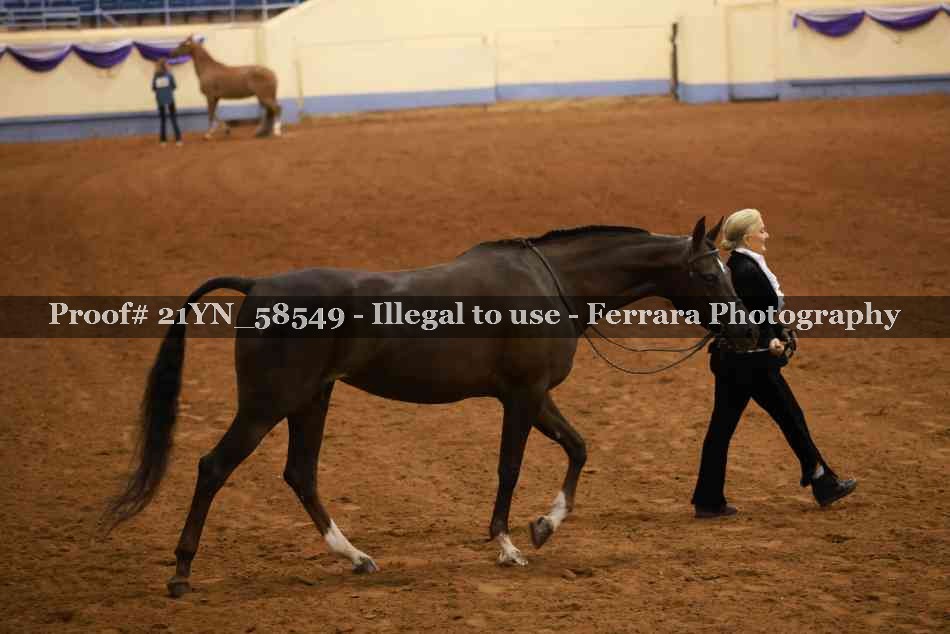 Proof 21YN_58549