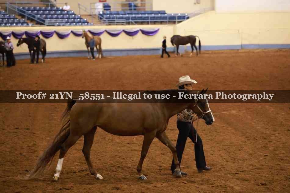 Proof 21YN_58551