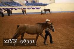 21YN_58551 proof