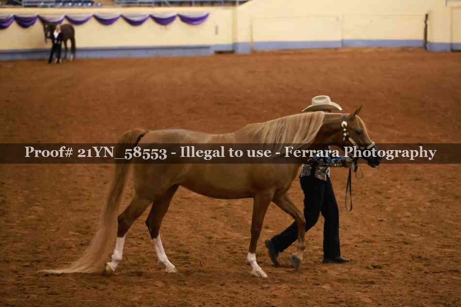 Proof 21YN_58553