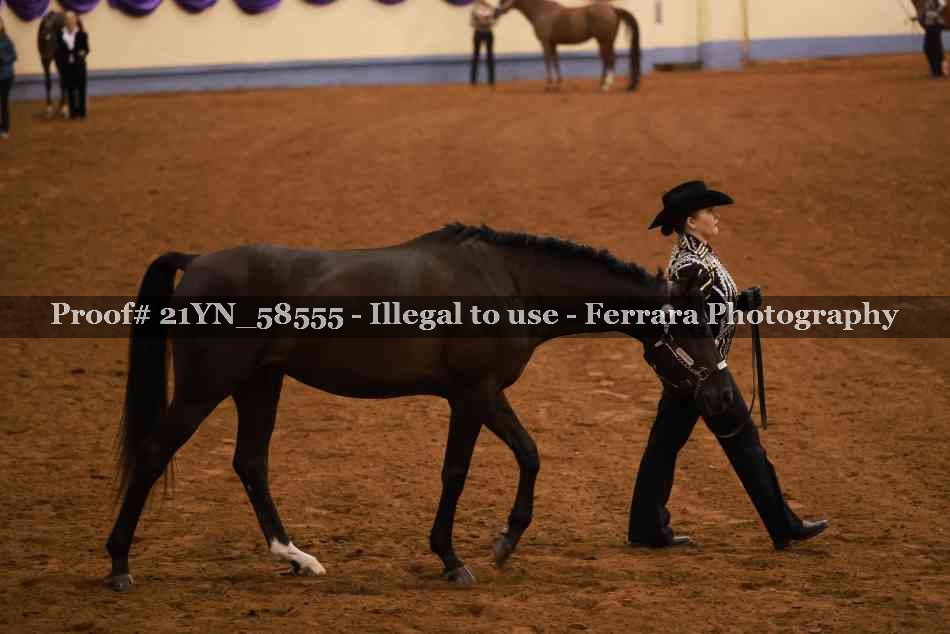 Proof 21YN_58555