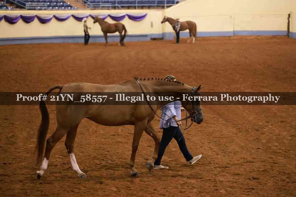 Proof 21YN_58557