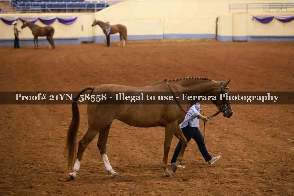 Proof 21YN_58558