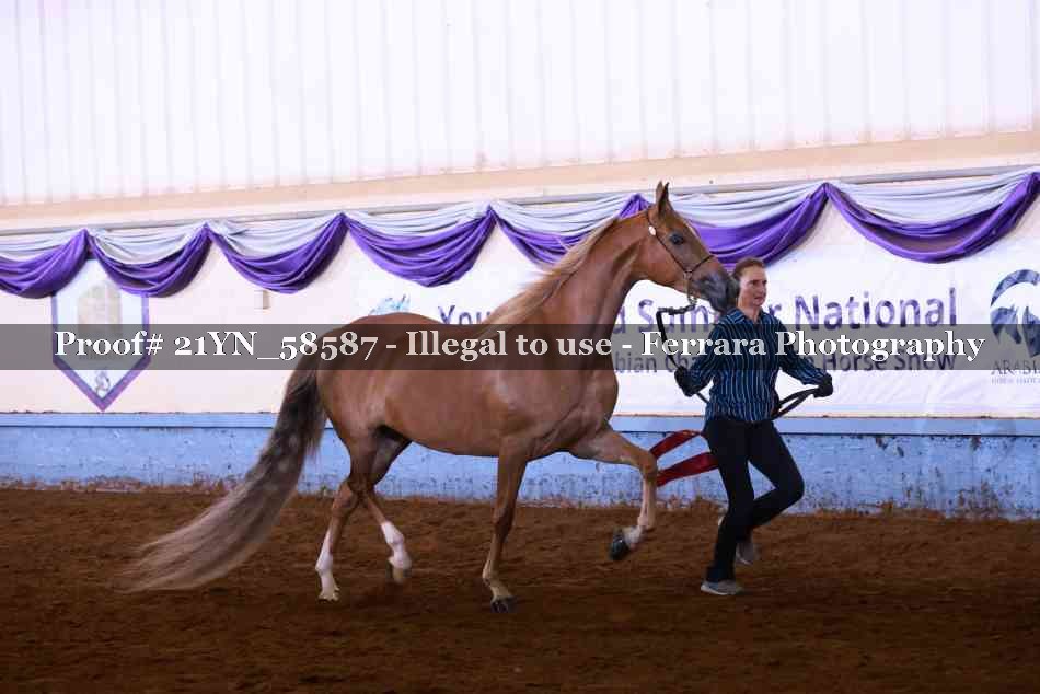Proof 21YN_58587