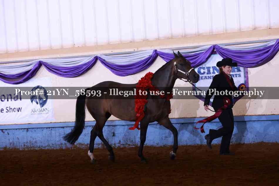 Proof 21YN_58593