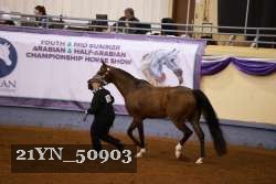21YN_50903 proof