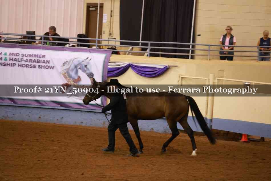 Proof 21YN_50904