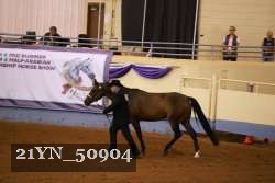 21YN_50904 proof