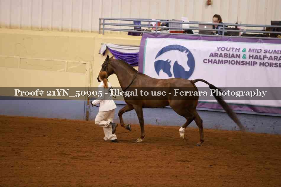 Proof 21YN_50905