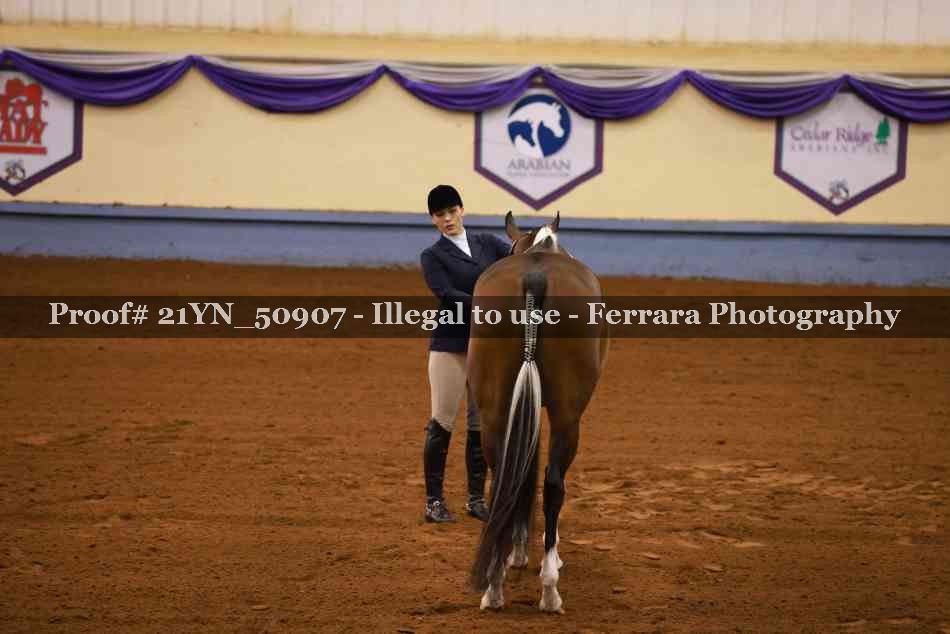 Proof 21YN_50907