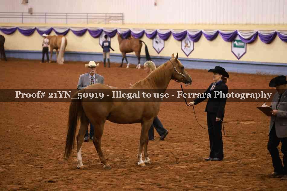 Proof 21YN_50919