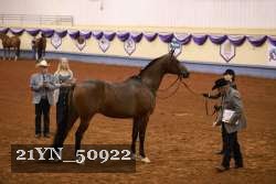 21YN_50922 proof