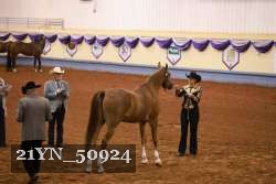 21YN_50924 proof