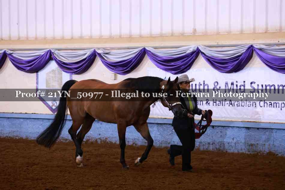 Proof 21YN_50977