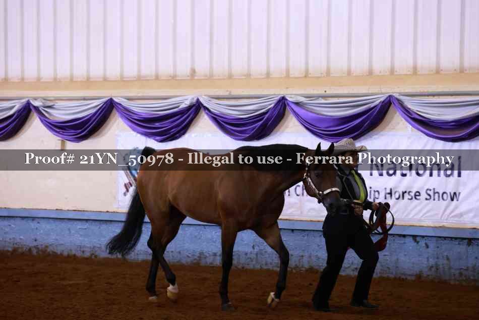 Proof 21YN_50978