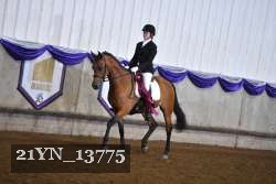 21YN_13775 proof