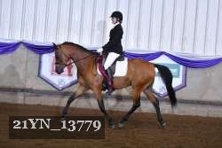 21YN_13779 proof