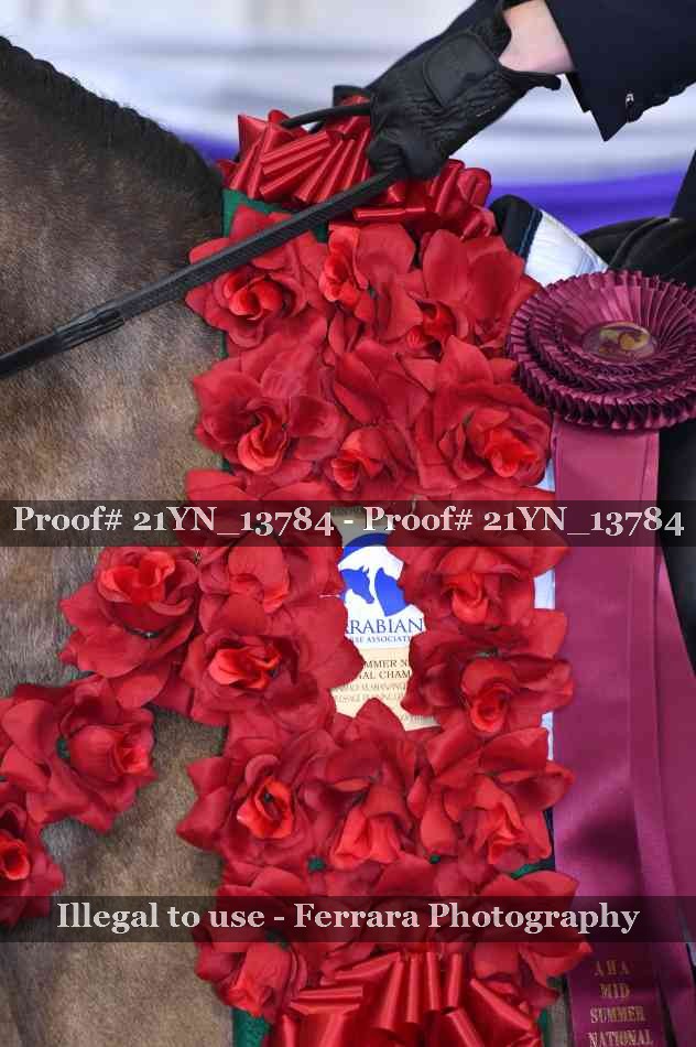 Proof 21YN_13784