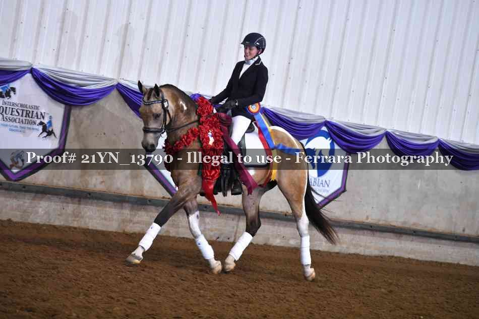 Proof 21YN_13790