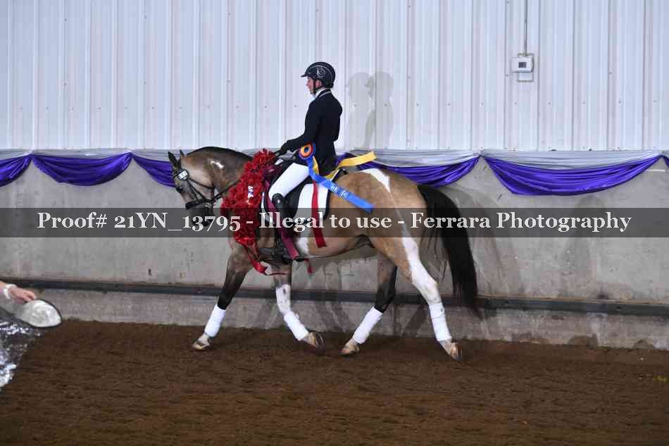 Proof 21YN_13795