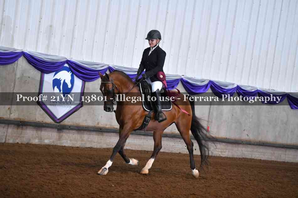 Proof 21YN_13801