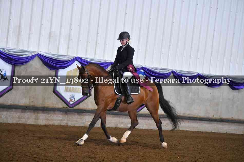 Proof 21YN_13802
