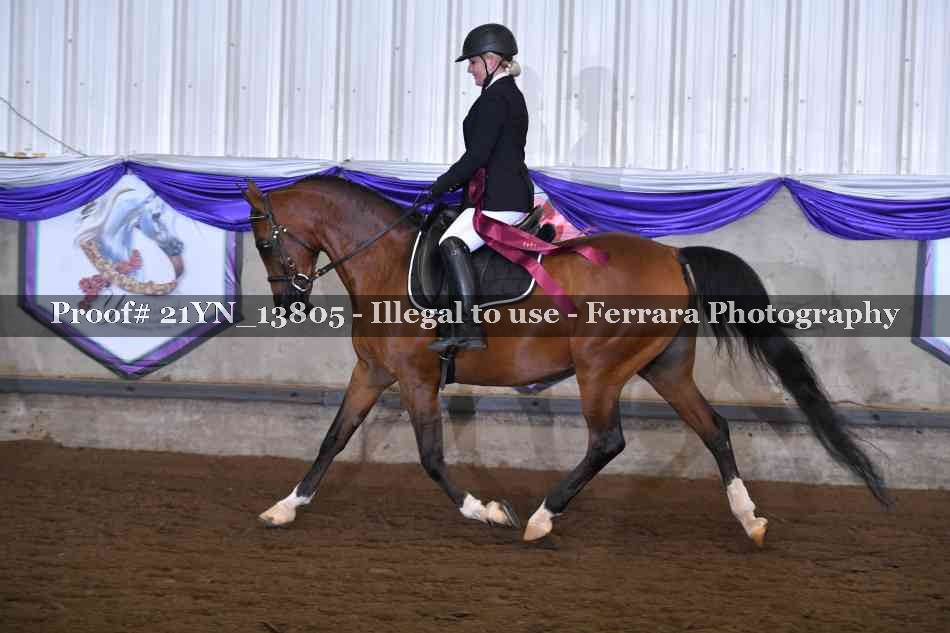 Proof 21YN_13805