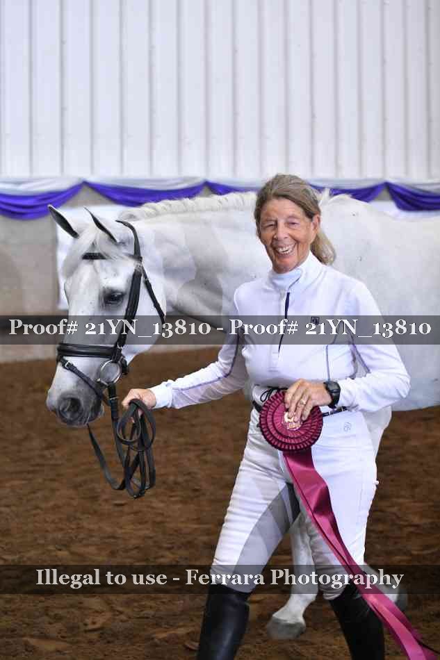 Proof 21YN_13810