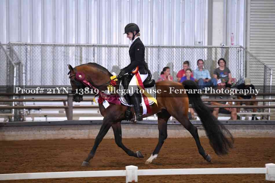 Proof 21YN_13819