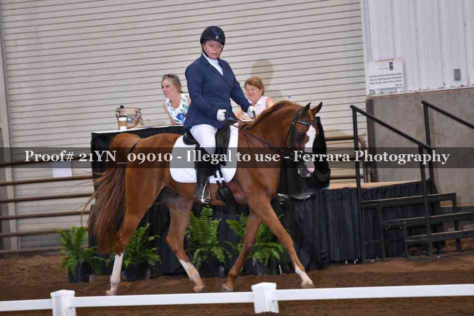 Proof 21YN_09010
