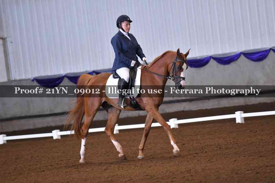 Proof 21YN_09012