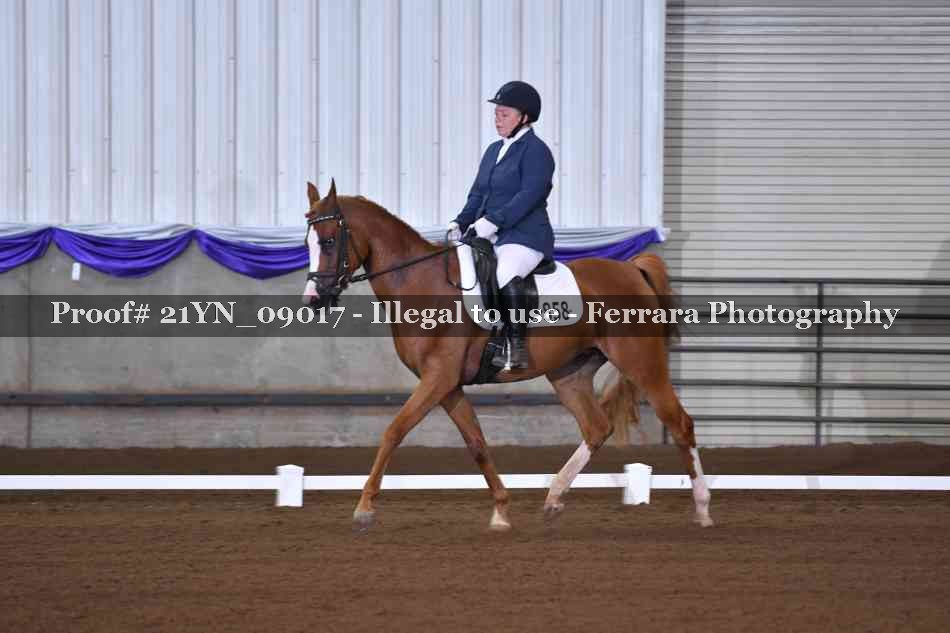 Proof 21YN_09017