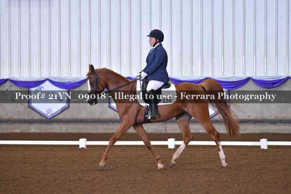 Proof 21YN_09018