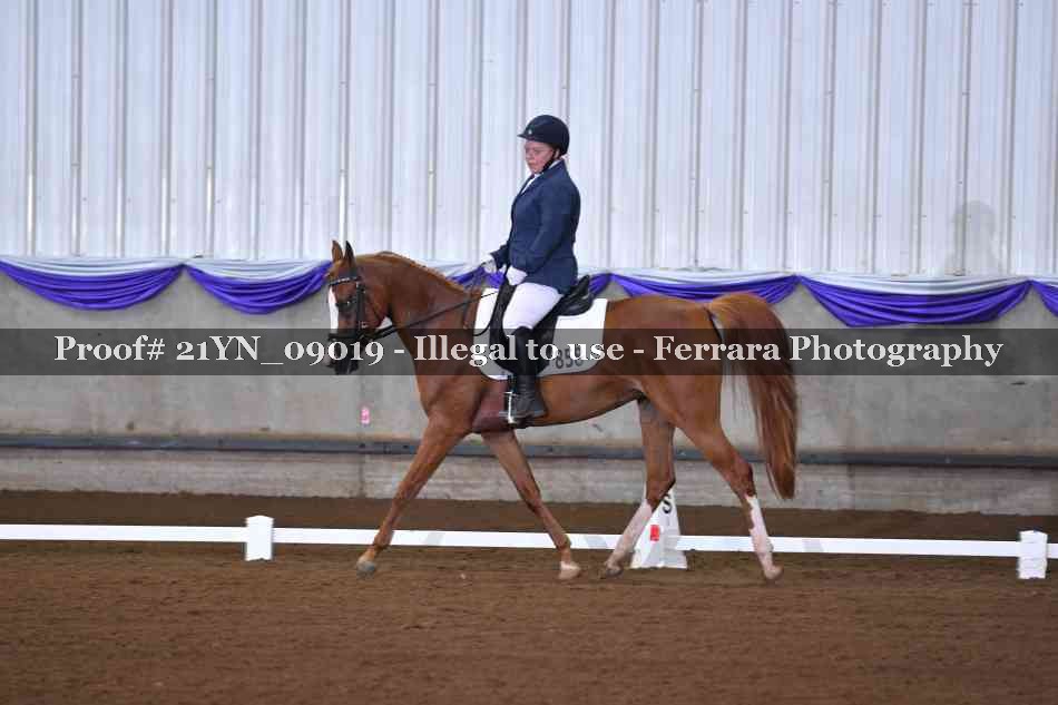 Proof 21YN_09019