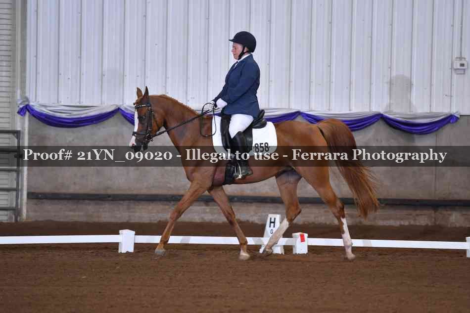 Proof 21YN_09020