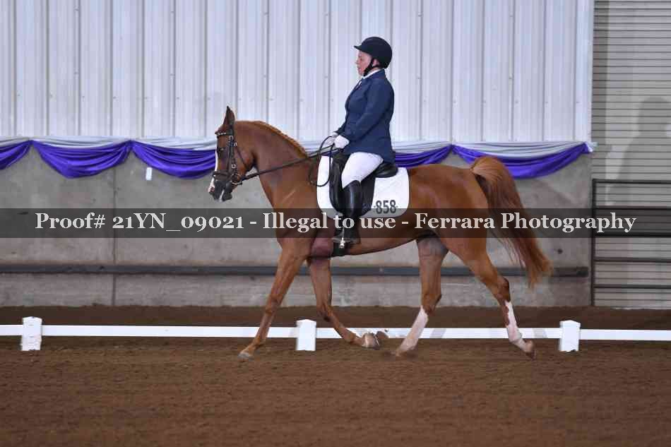 Proof 21YN_09021