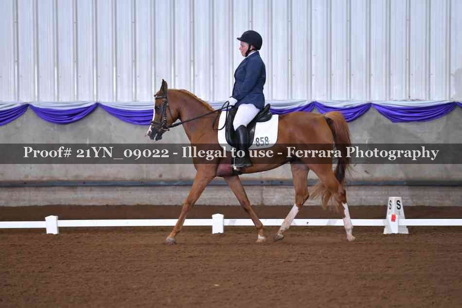Proof 21YN_09022