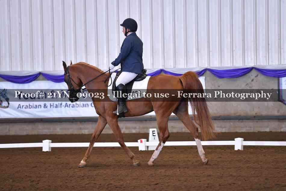 Proof 21YN_09023