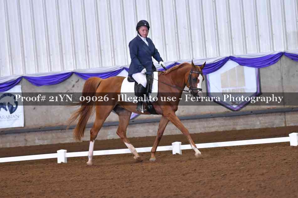 Proof 21YN_09026