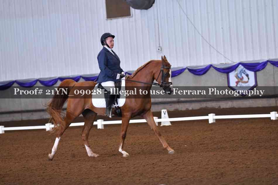Proof 21YN_09028