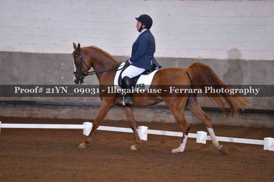 Proof 21YN_09031
