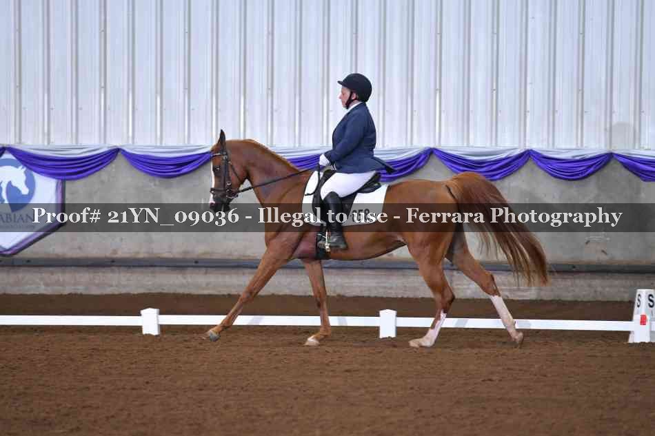 Proof 21YN_09036