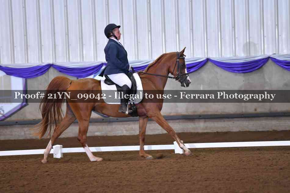 Proof 21YN_09042