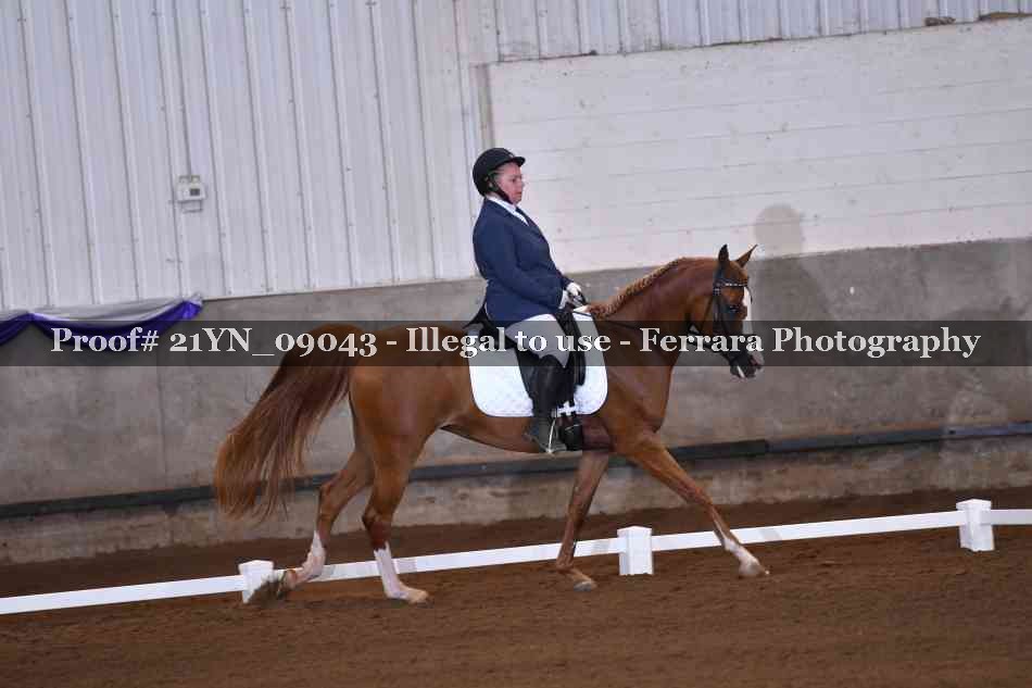 Proof 21YN_09043