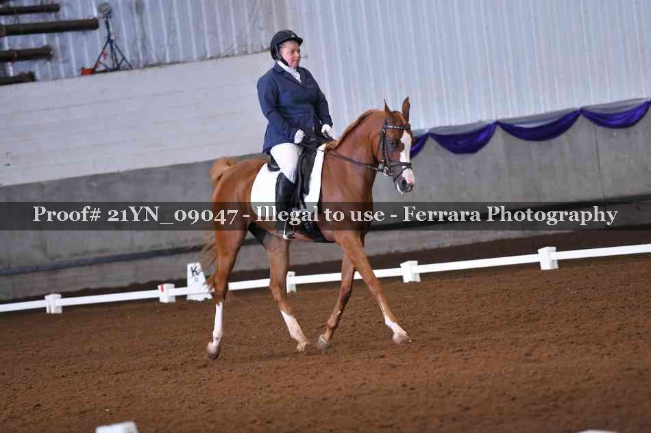 Proof 21YN_09047