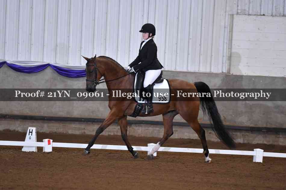 Proof 21YN_09061