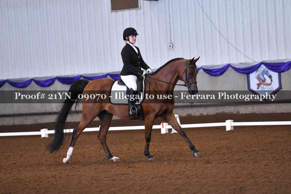 Proof 21YN_09070