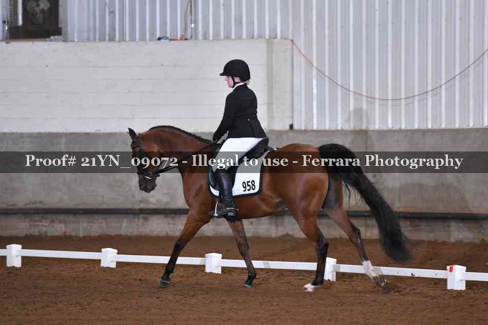 Proof 21YN_09072