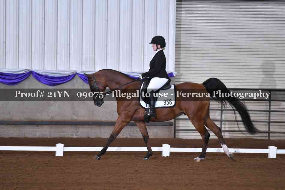 Proof 21YN_09075